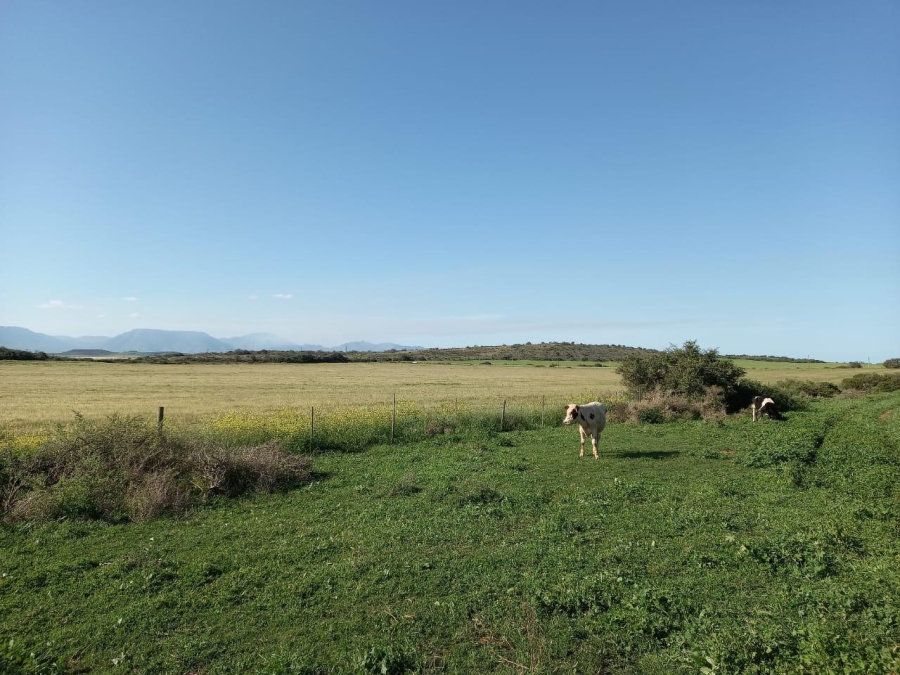 0 Bedroom Property for Sale in Riversdale Rural Western Cape